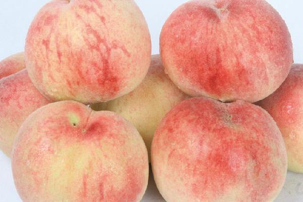 水蜜桃圖片大全 水蜜桃產地在哪里