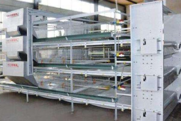 養雞加溫設備有哪些 常見全自動養雞設備介紹