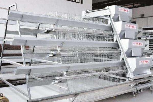 養雞加溫設備有哪些 常見全自動養雞設備介紹