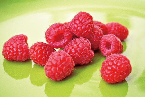 覆盤子市場(chǎng)價(jià)格多少錢一斤 覆盆子是什么水果