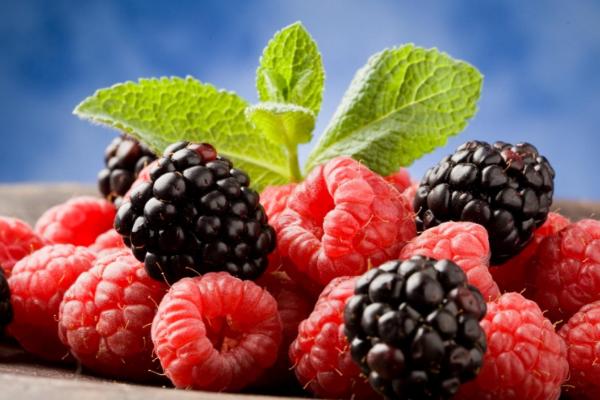 覆盤子市場(chǎng)價(jià)格多少錢一斤 覆盆子是什么水果