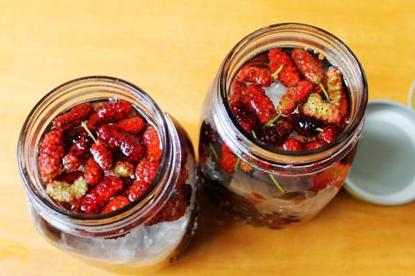 果酒的功效與作用及禁忌 果酒怎么泡