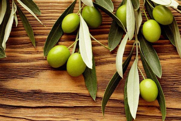 青橄欖怎么吃 孕婦可以吃青橄欖嗎