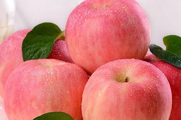 紅富士蘋果市場價格多少錢一斤  紅富士蘋果的產地