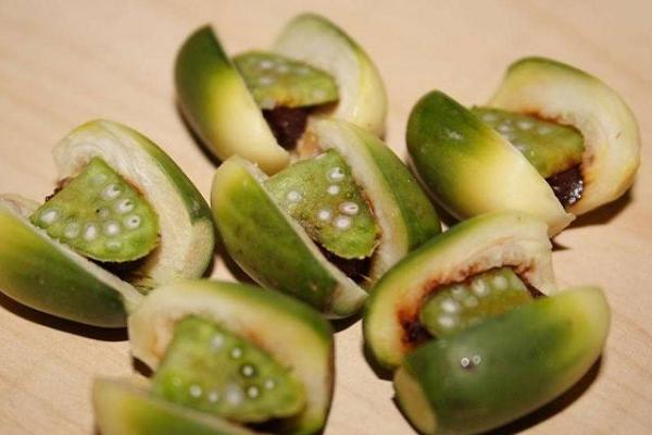 青果檳榔和普通檳榔的區別是什么 檳榔果的藥用價值與藥用功效