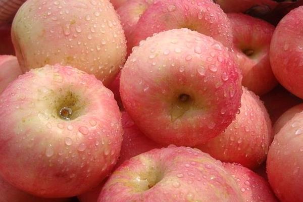 黃元帥蘋果市場價格多少錢一斤 黃元帥蘋果的營養價值