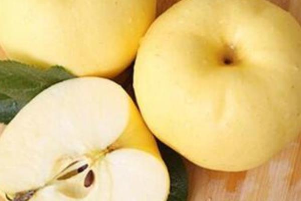黃元帥蘋果市場價格多少錢一斤 黃元帥蘋果的營養價值