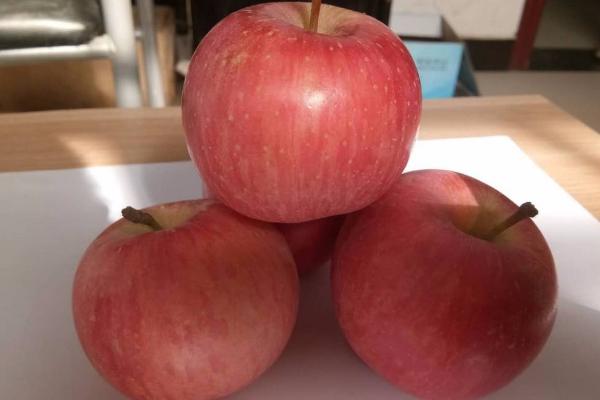 秦冠蘋果和富士蘋果的區別是什么(哪個好吃) 紅富士蘋果對人的身體有什么好處