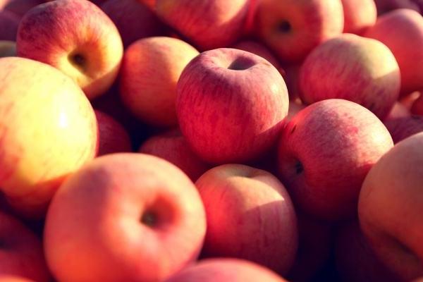 紅富士蘋果功效與作用 紅富士蘋果營養價值