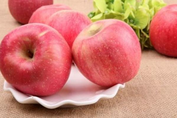 紅富士蘋果功效與作用 紅富士蘋果營養價值