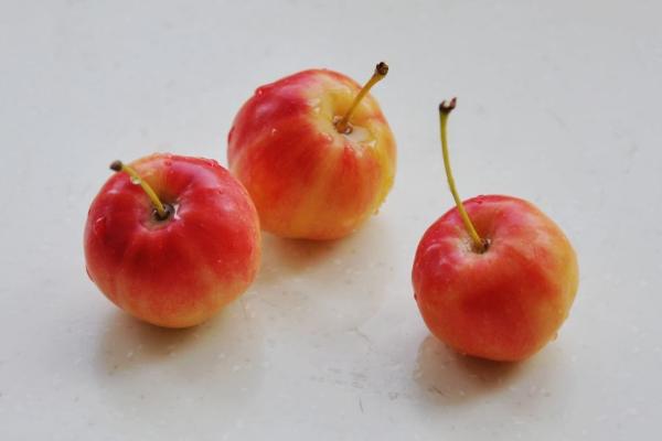 海棠果能吃嗎 海棠果怎么吃