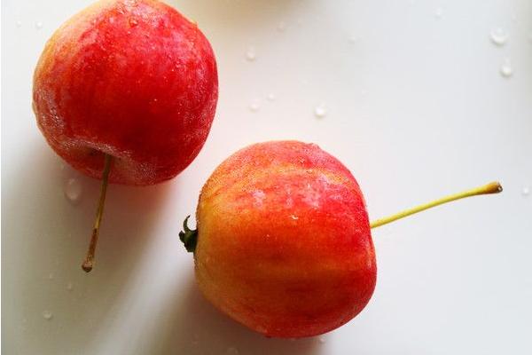 海棠果的功效與作用 海棠果藥用價(jià)值