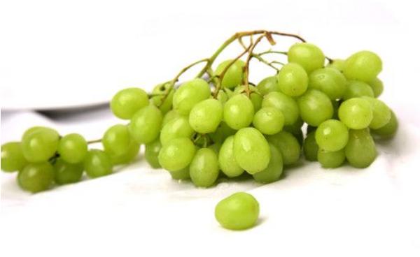 青提子的功效與作用及禁忌 青提營養價值