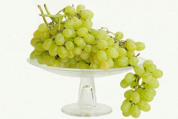 提子功效與作用及禁忌 提子的營養價值