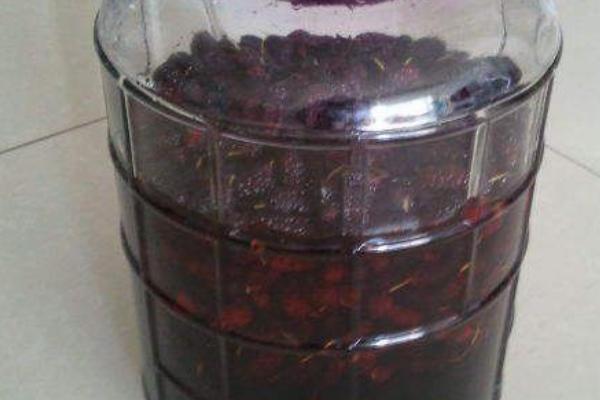 桑葚酒的功效與作用及禁忌 桑葚酒的制作方法