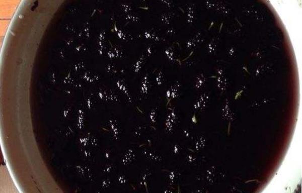 桑葚怎么吃 桑葚吃多了會怎樣