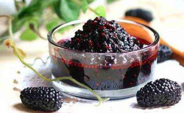 桑葚酵素的功效與作用 桑葚酵素的制作方法