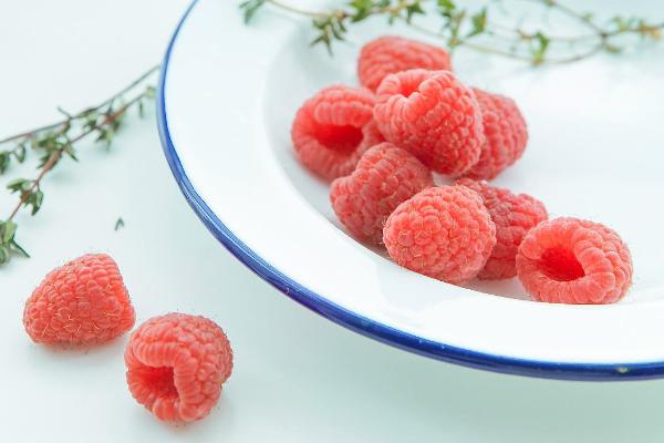 覆盤子功效與作用 覆盤子營養價值