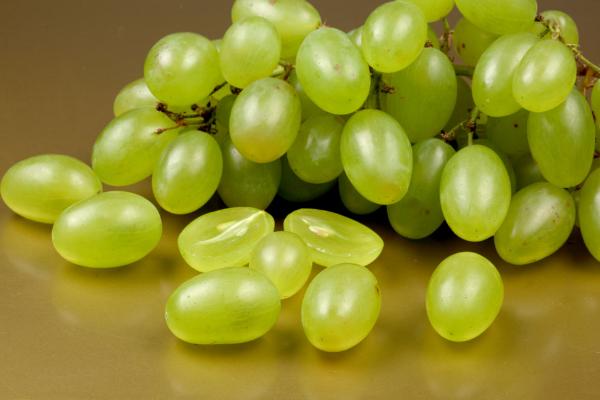 提子怎么種 提子的種植方法與注意事項