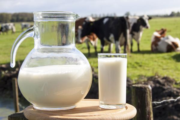 橘子和牛奶能一起吃嗎 橘子和雞蛋能一起吃嗎