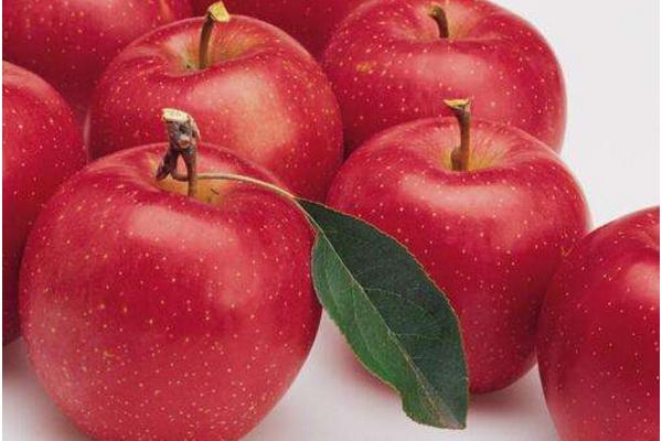 美國蛇果市場價格多少錢一斤 美國蛇果和蘋果之間的區(qū)別