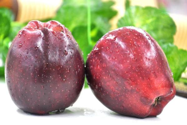 美國蛇果市場價格多少錢一斤 美國蛇果和蘋果之間的區(qū)別