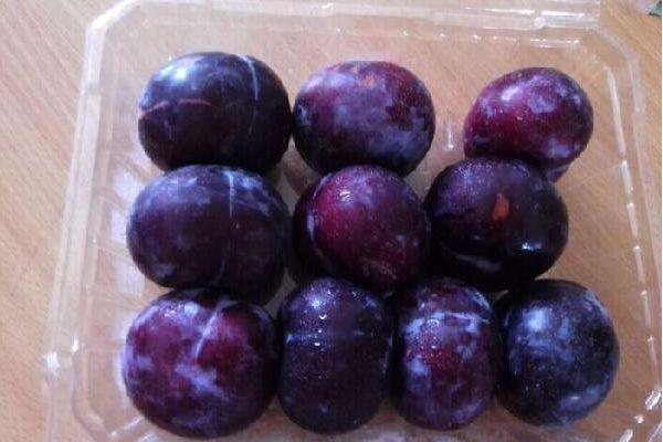 黑布林市場價格多少錢一斤 黑布林為什么那么貴