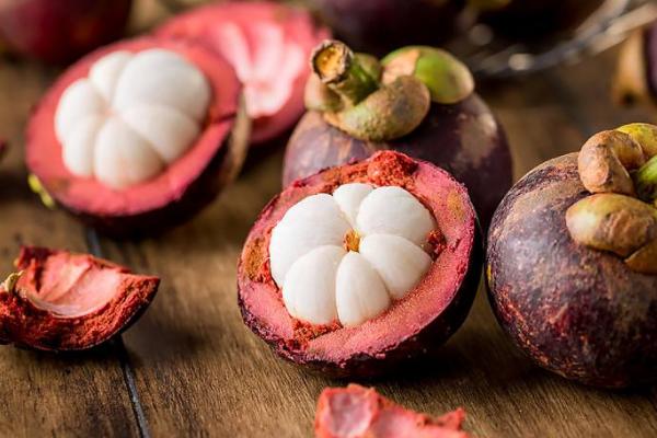 山竹圖片大全 山竹長在哪里