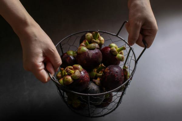 山竹圖片大全 山竹長在哪里