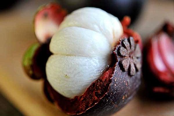 山竹圖片大全 山竹長在哪里