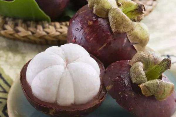 山竹圖片大全 山竹長在哪里