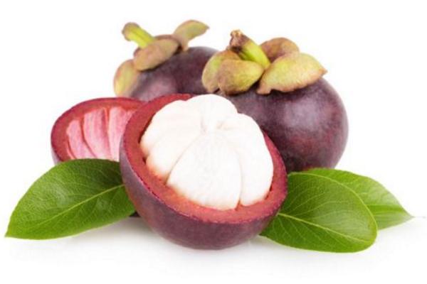 山竹產地在哪里 山竹怎么選