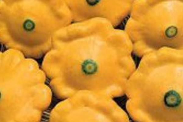 飛碟瓜幾月份種 飛碟瓜怎么吃