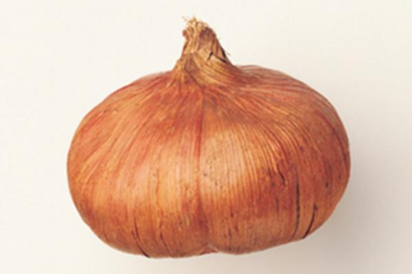 唐菖蒲怎么養 唐菖蒲養殖方法與注意事項