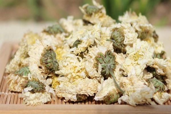 貢菊茶的功效與作用 貢菊茶怎么泡