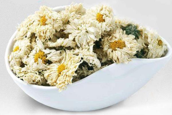 貢菊茶的功效與作用 貢菊茶怎么泡