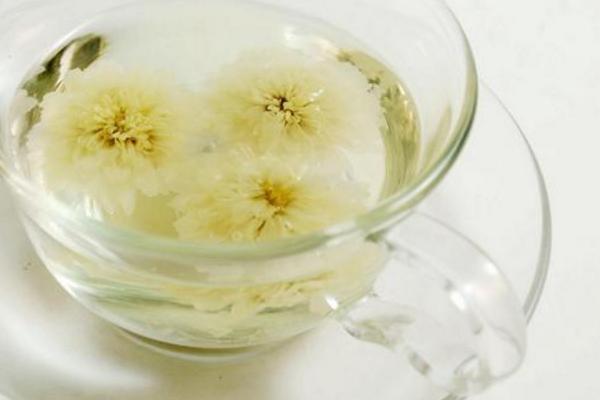 貢菊茶的功效與作用 貢菊茶怎么泡