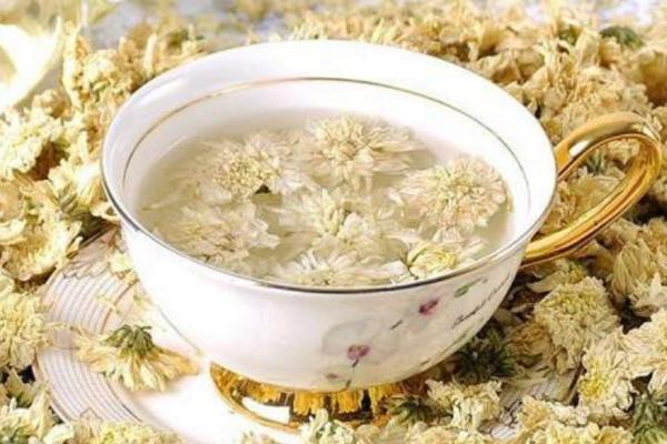 貢菊茶的功效與作用 貢菊茶怎么泡