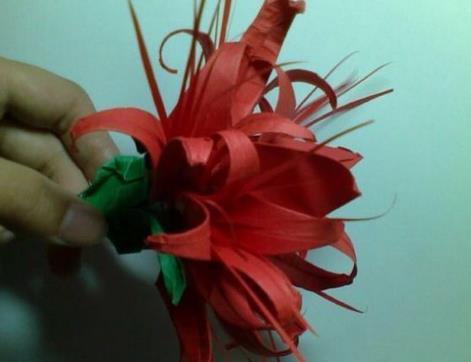 彼岸花的折法（圖解步驟） 彼岸花怎么畫