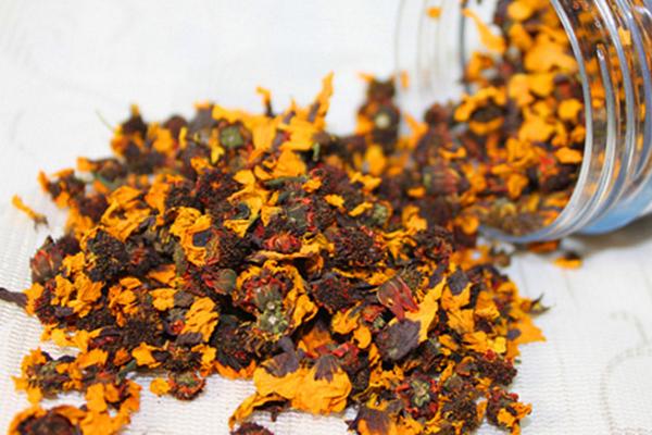 胎菊和雪菊的區別是什么 胎菊怎么泡水喝