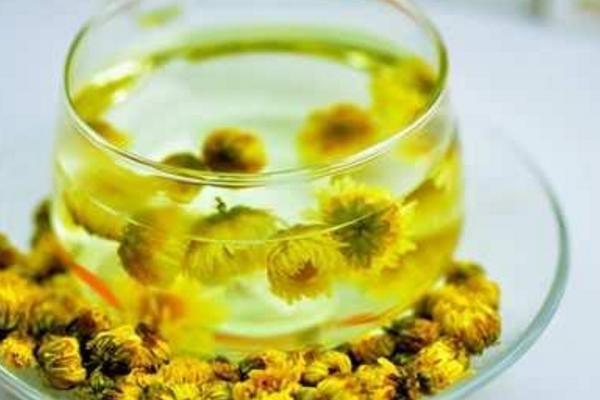 胎菊和雪菊的區別是什么 胎菊怎么泡水喝