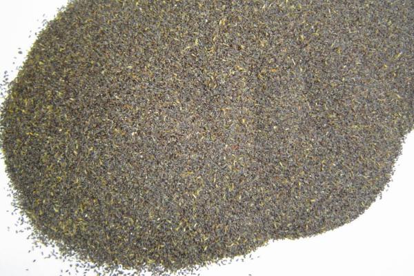 菊花種子市場價格多少錢一斤 菊花種子怎么種