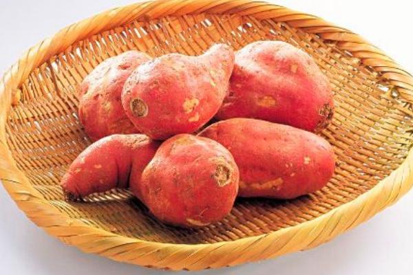 玉米和紅薯哪個更減肥 紅薯的健康吃法