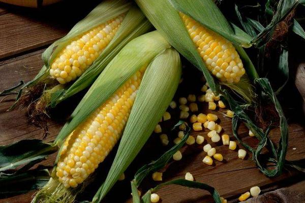 玉米和紅薯哪個更減肥 紅薯的健康吃法