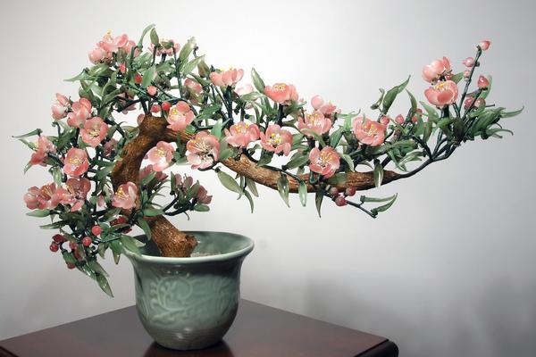 碧桃盆景怎么造型好看 盆栽碧桃怎么澆水