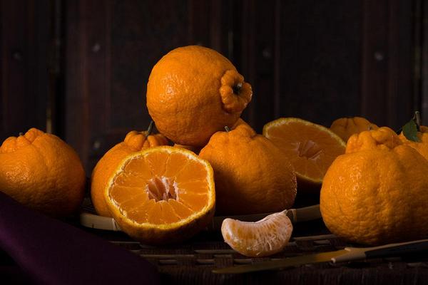 丑八怪橘子的功效與作用 丑八怪橘子營養(yǎng)價(jià)值