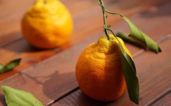 丑八怪橘子的功效與作用 丑八怪橘子營養(yǎng)價(jià)值