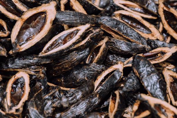 檳榔的功效與作用及禁忌 檳榔是什么