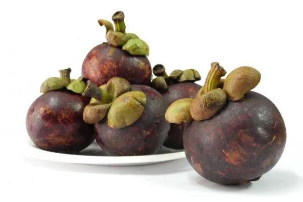 山竹怎么保存 山竹籽能吃嗎