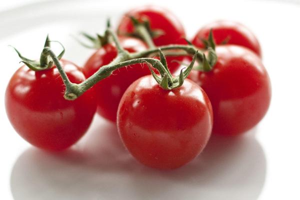 圣女果的功效與作用及禁忌 圣女果營養價值